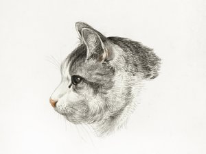 Skiss av en katt (1819) av Jean Bernard (1775–1883) av Jean Bernard
