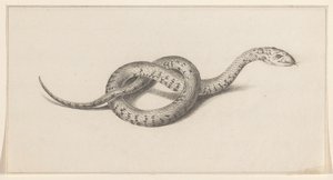 Slang av Jean Bernard