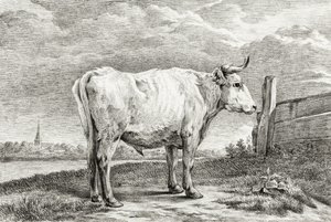 Standing Bull (1817) av Jean Bernard
