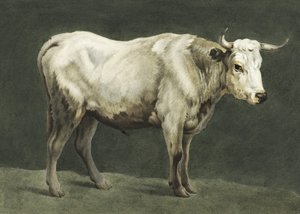 Målning av Standing Bull av Jean Bernard
