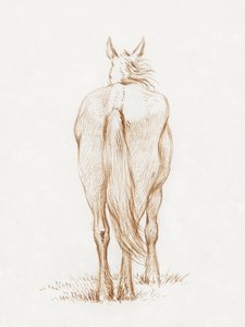 Stående häst (1815) av Jean Bernard