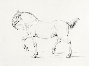 Stepping Horse (1775–1833) av Jean Bernard