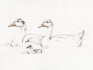 Två gäss med en unge (1775–1833) av Jean Bernard