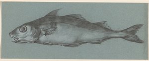 Fisk, till vänster av Jean Bernard