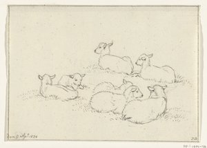 Sex liggande lamm av Jean Bernard