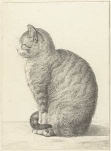 Sittande katt, till vänster