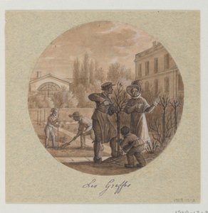 Design för en målad porslinstallrik, Les Greffes (Grafts) från Service de la Culture des Fleurs (Flower Cultivation Service) av Jean Charles Develly