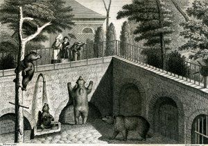 Björngömsle i en djurpark av Jean-Charles Werner