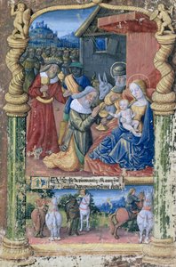 Ms. Lat. Q.v.I.126 fol.31 Adoration of the Magi, från "Book of Hours of Louis d