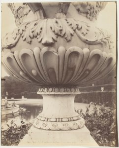 Versailles, vas av Jean Eugène Auguste Atget