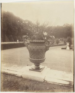 Versailles, vas från Ballin av Jean Eugène Auguste Atget