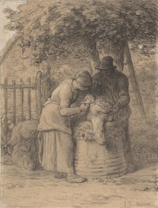 Fårklippning under ett träd, ca. 1854. av Jean Francois Millet