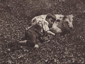 Schweiz: Siesta (s/v foto) av Jean Gaberell