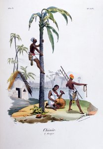 Chanar, 1828 av Jean Henri Marlet