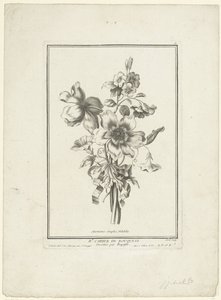Bukett av anemon och bindweed Anemones simples, Volubilis (titel på objekt) IIe Cahier de Bouquets (serietitel) av Jean Jacques Avril (I)