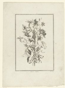 Bukett av påsklilja och bindweed Narcissus, Volubilis (titel på objekt) IIe Cahier de Bouquets (serietitel) av Jean Jacques Avril (I)