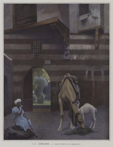 Camel Driver (färg litho)