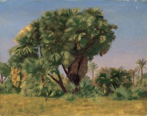 Studie av palmer av Jean Leon Gerome