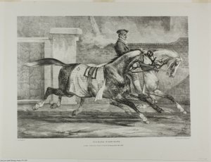 Hästar i träning, plansch 6 från olika motiv tecknade ur livet och på sten (The English Suite) av Jean Louis André Théodore Géricault