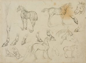 Skisser av en häst av Jean Louis André Théodore Géricault