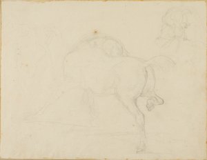 Studie av en häst som vrider på huvudet och lyfter bakbenet av Jean Louis André Théodore Géricault