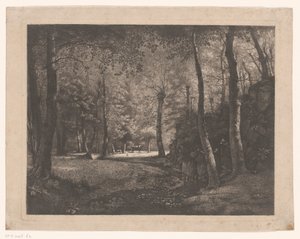 Herdinna i skogen av Rochecardon