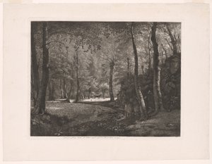 Skogen i Rochecardon
