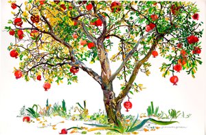 Pomegranate Tree, Monte Sereno (akvarell  tusch på papper)