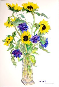 Solrosor Asters