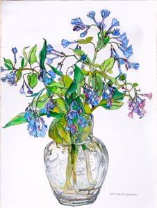 Virginia Blue Bells in Narrow Necked Vase, 2006 (akvarell och bläck på papper)
