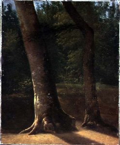 Study of Trees, c.1815 (olja på papper) av Jean Victor (attr. to) Bertin