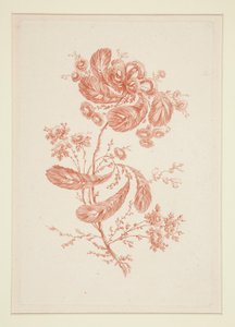Utan titel (Ideala blommor), från en uppsättning om sex