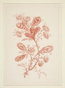 Utan titel (Ideala blommor), från en uppsättning om sex av Jeanne Deny
