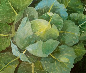 Cabbage (blue), 2014 (akryl på duk) av Jennifer Abbott