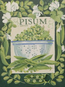 Pisum, Ärtor (akryl) av Jennifer Abbott