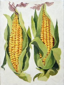 Sweetcorn, 2013 (akryl på duk) av Jennifer Abbott