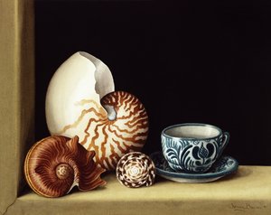 Still life with Nautilus, 1998 (wc on paper)