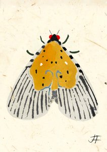 Yellow Moth, 2024 (akvarell på papper) av Jenny Frean