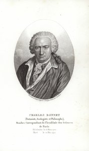 Charles Bonnet av Jens Juel