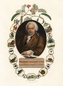 Porträtt av Charles Bonnet, naturforskare i Geneve.1803 (gravyr) av Jens Juel