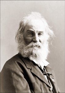 Porträtt av Walt Whitman (1819 - 1892) av Gurney mellan 1880 och 1890.
