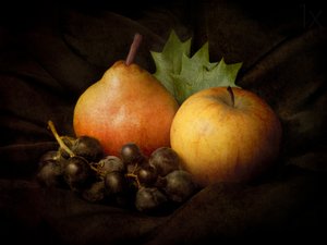 Stilleben – ”Dark Harvest” av Jerome Zakka Bajjani