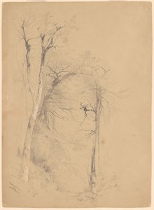 Kaaterskill kryddnejlika av Jervis McEntee