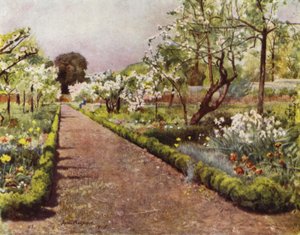 Fulham, The Flower Walk in the Walled Garden (färg litho)