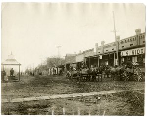 Arkansas 1903 av Jessie Tarbox Beals