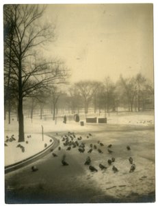 Vanligt med duvor, Boston, USA, c.1902-10 av Jessie Tarbox Beals