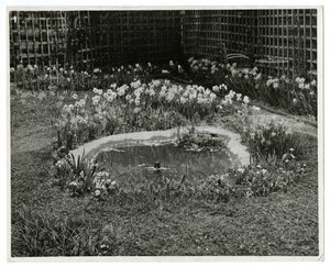 Garden of Mr & Mrs Wm H Wells 265 W 11th St, New York, USA av Jessie Tarbox Beals