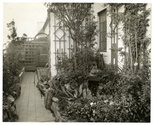 Regina Jais trädgård, ca 1936-37 (gelatinsilverfoto) av Jessie Tarbox Beals