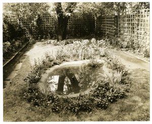 Garden of Mrs W H Wells 265 W 11th, Greenwich Village, New York, USA, ca 1936-37 (foto av gelatinsilver) av Jessie Tarbox Beals