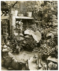 Pool som visar terrass Home of George and Mary Stonehill, Greenwich Village, New York, USA, ca 1936-37 (foto av gelatinsilver) av Jessie Tarbox Beals